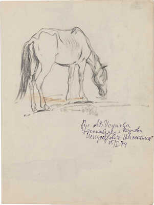 Исупов Алексей Владимирович. Этюд с лошадью 